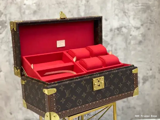 AAA Pruses Bags LOUIS COFFRET VUITTON ACCESSOIRES 0525